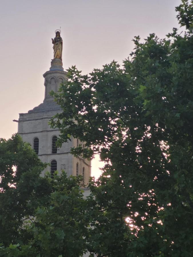 Apartamento Un Nid Sur Les Toits Face Au Palais Des Papes Aviñón Exterior foto