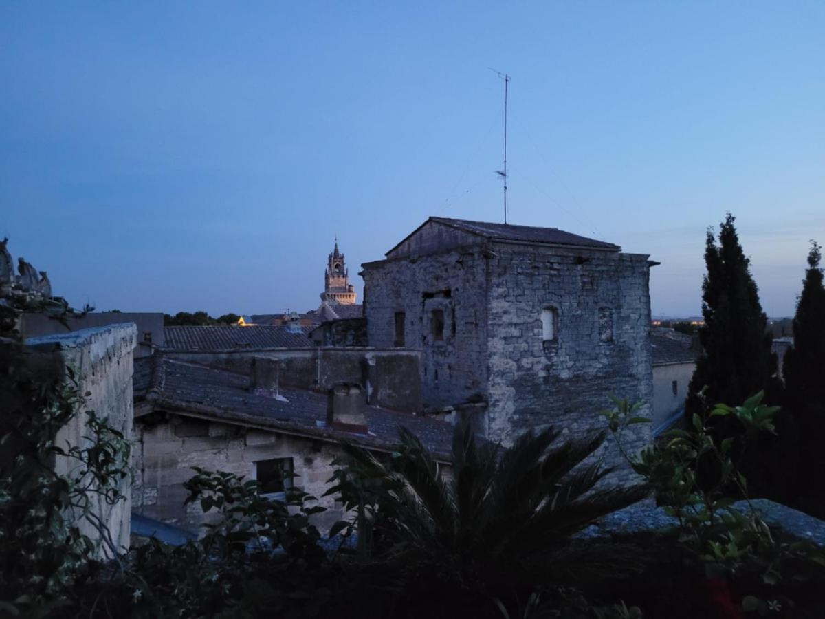 Apartamento Un Nid Sur Les Toits Face Au Palais Des Papes Aviñón Exterior foto
