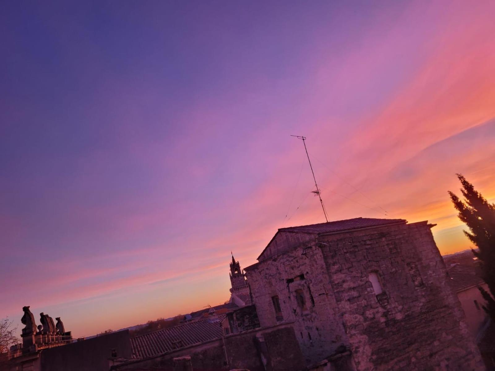 Apartamento Un Nid Sur Les Toits Face Au Palais Des Papes Aviñón Exterior foto