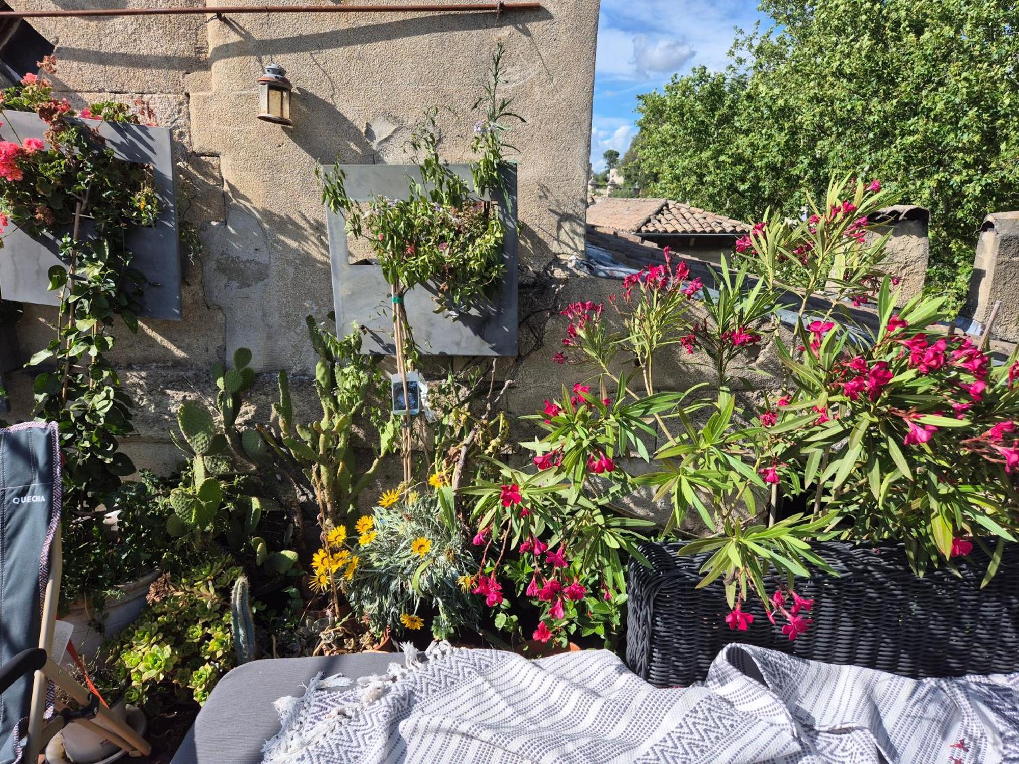 Apartamento Un Nid Sur Les Toits Face Au Palais Des Papes Aviñón Exterior foto