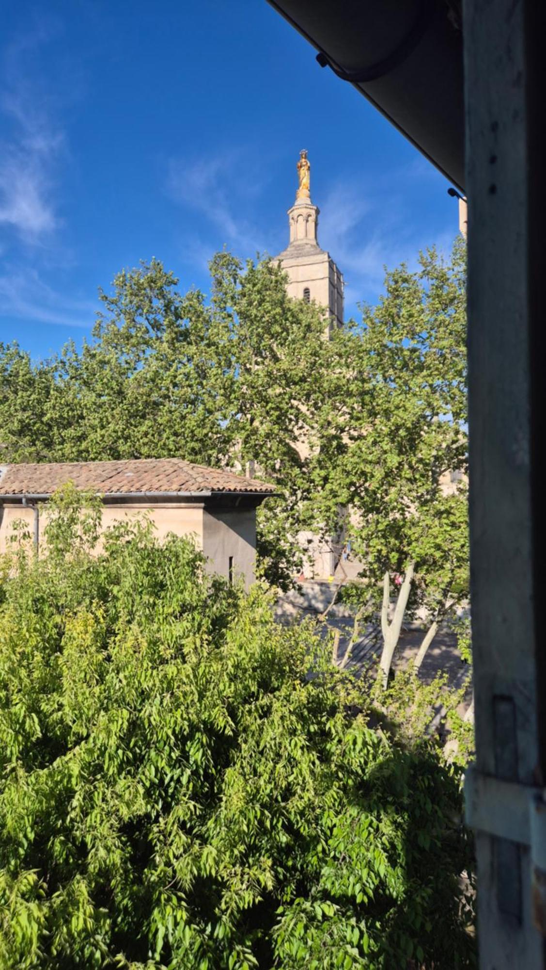 Apartamento Un Nid Sur Les Toits Face Au Palais Des Papes Aviñón Exterior foto